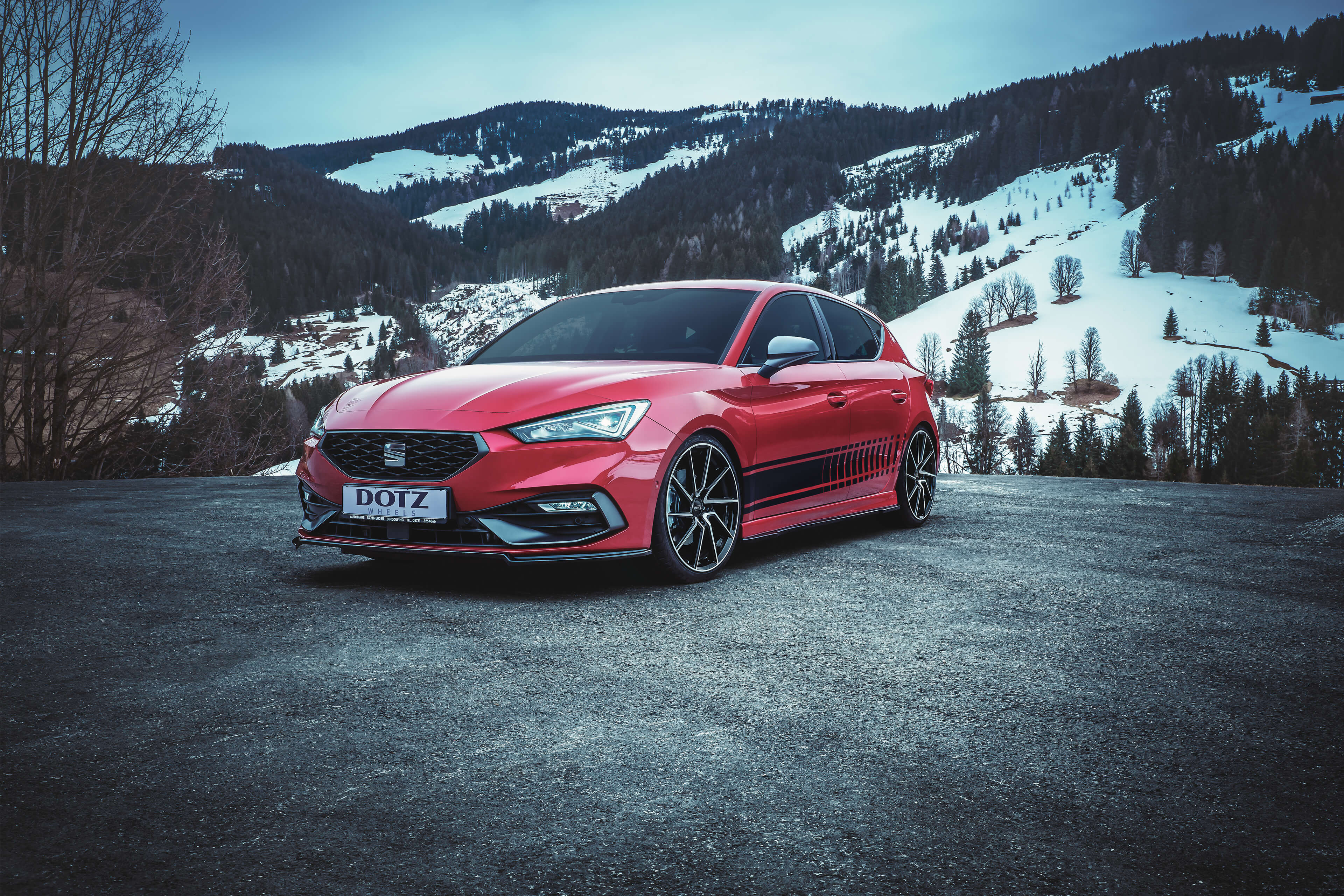 DOTZ Spa dark Seat Leon frontal