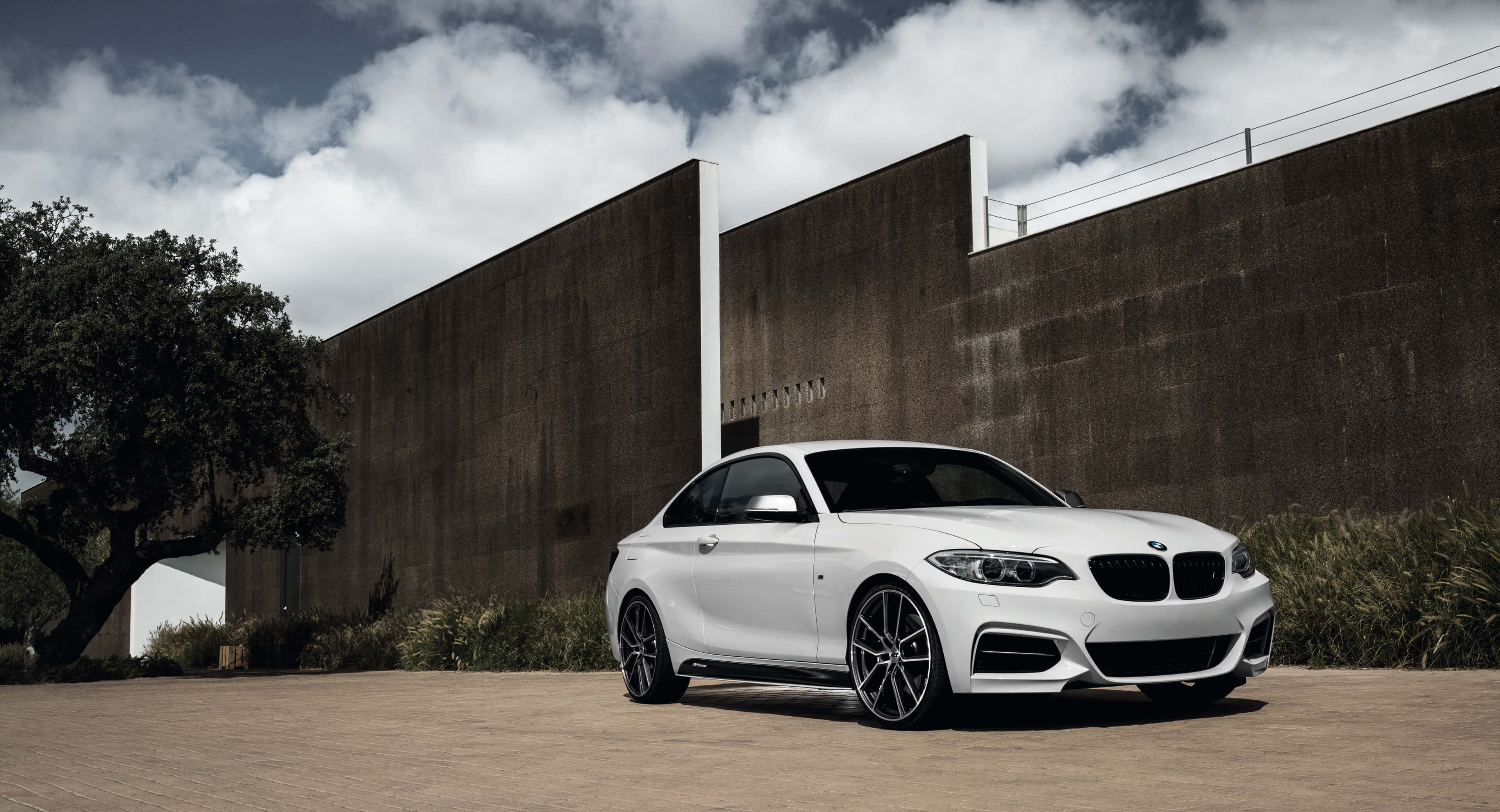 AEZ Raise BMW M235i Alufelgen Y-Speichen 18" 19" 20" ALCAR 