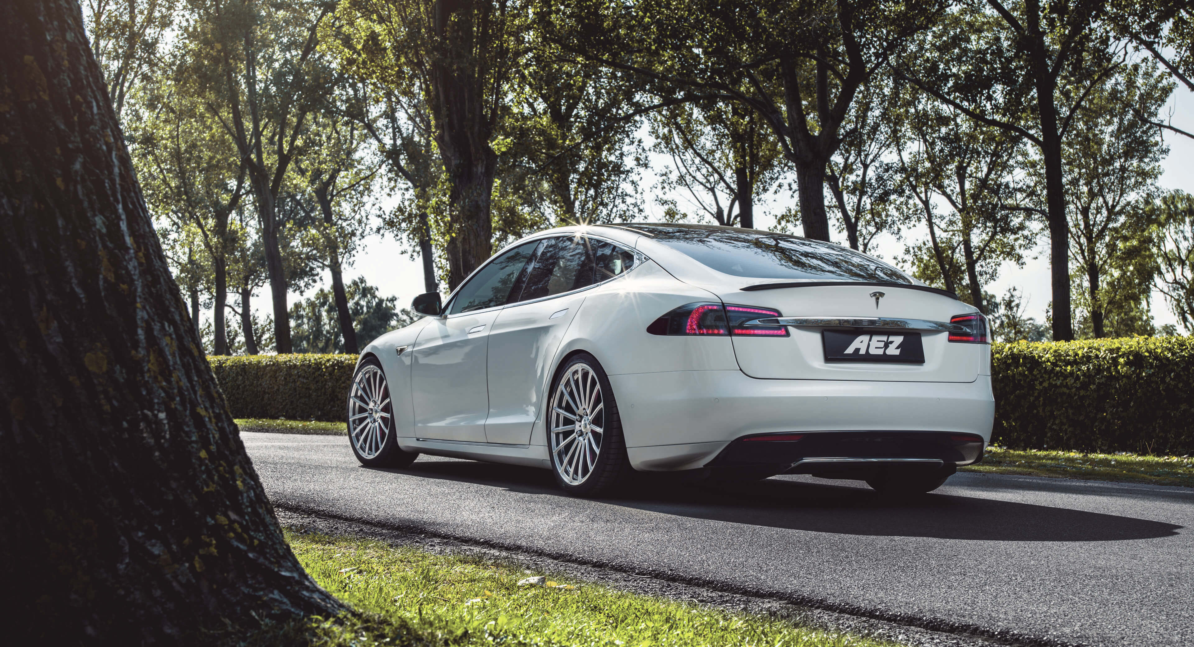 AEZ Steam forged Schmiederad Tesla Alurad Königsklasse