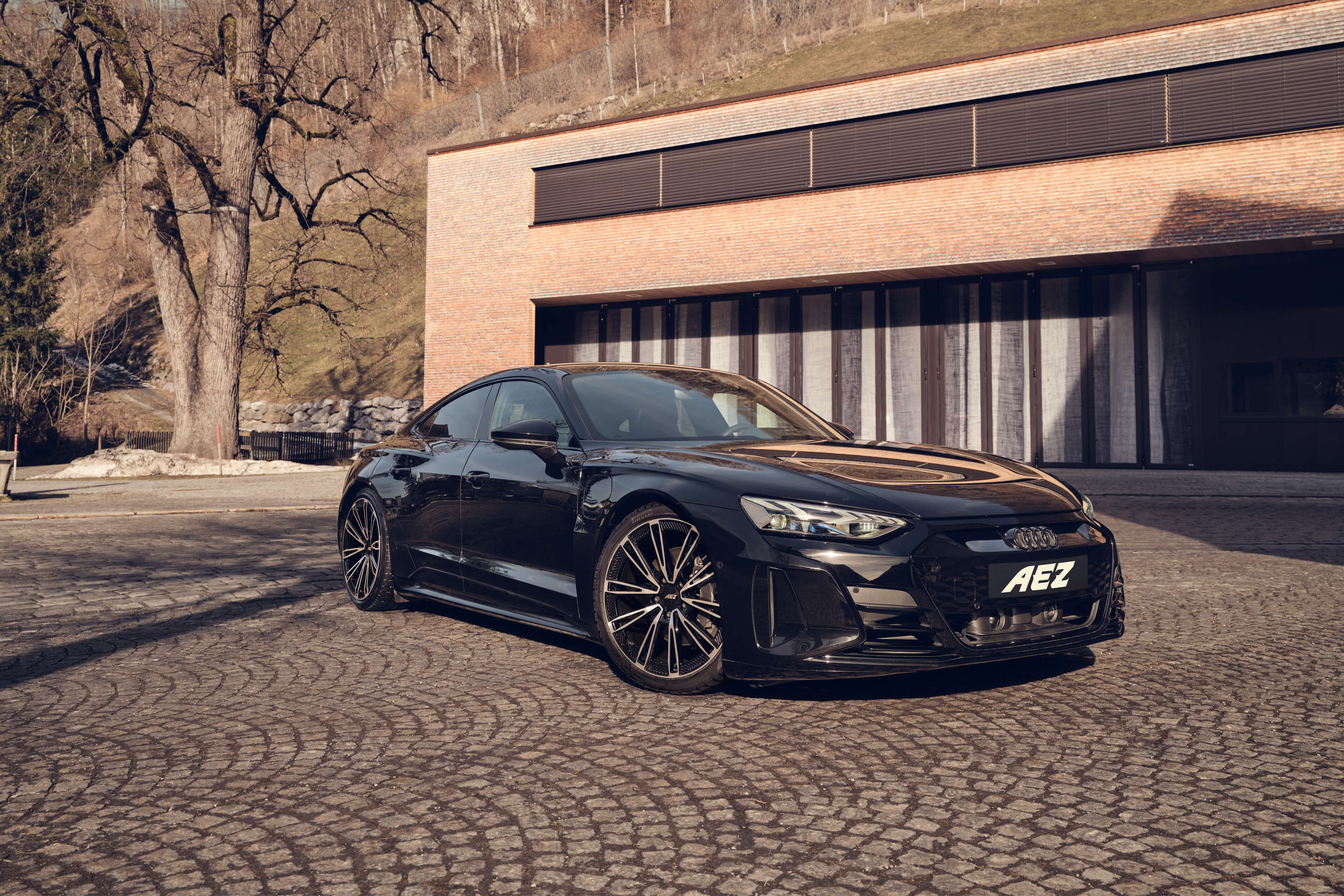 AEZ Alaska dark Audi e-Tron GT Front Winter