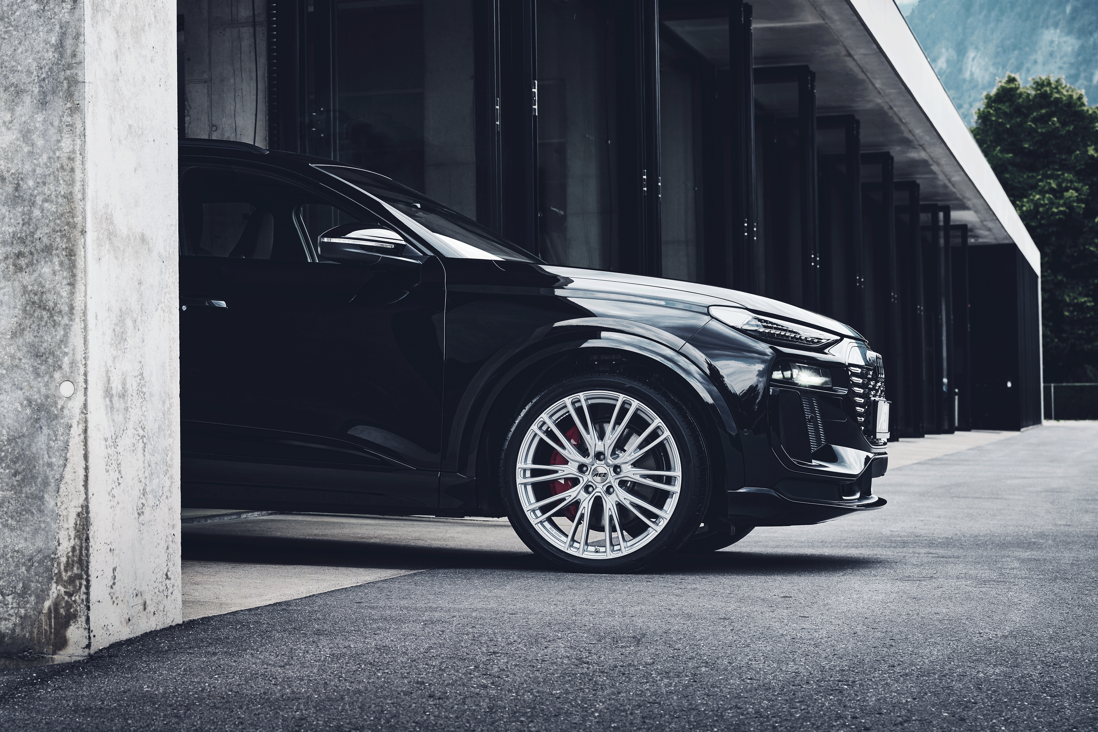 Gallerie Seattle Shine 5